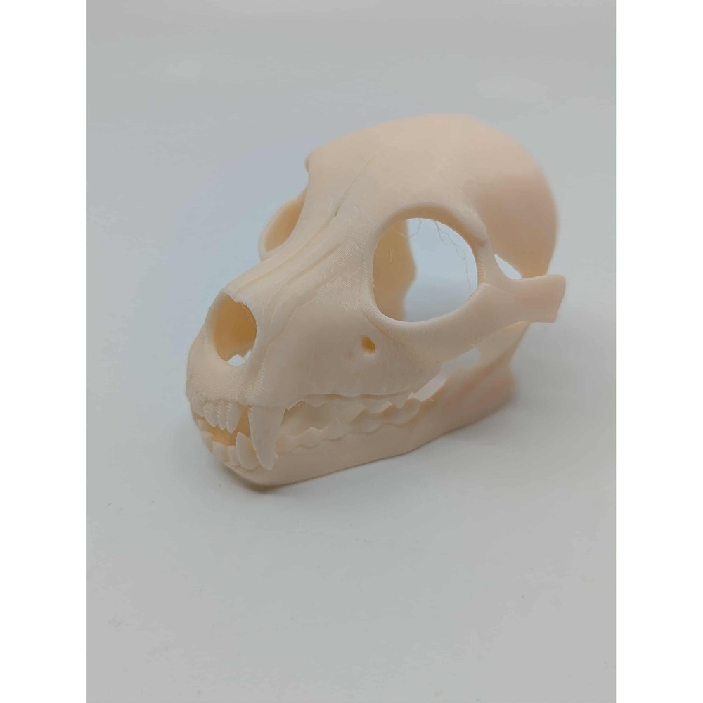 Dog Skull Hide, Reptile enrichment, Tank Decor